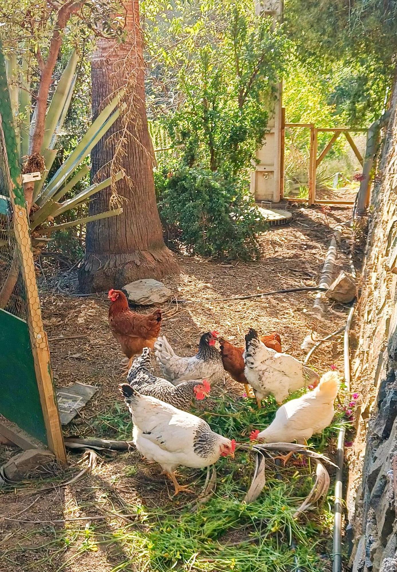 Casa Medina - Private With Terrace And Sea View, 25 Minutes From Malaga Casa vacanze Moclinejo