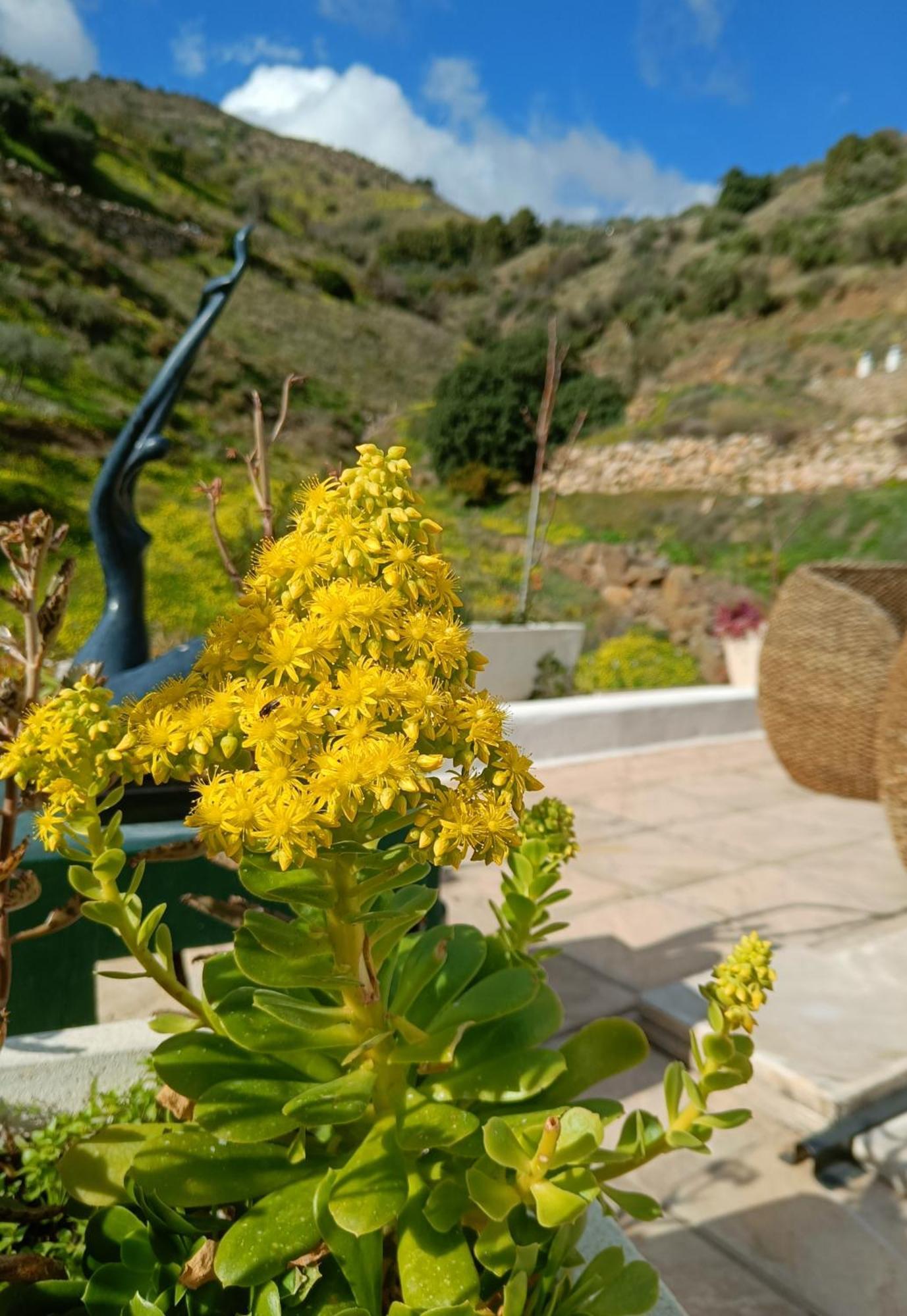 Vakantiehuis Casa Medina - Private With Terrace And Sea View, 25 Minutes From Malaga